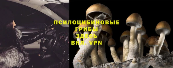 тгк Волоколамск