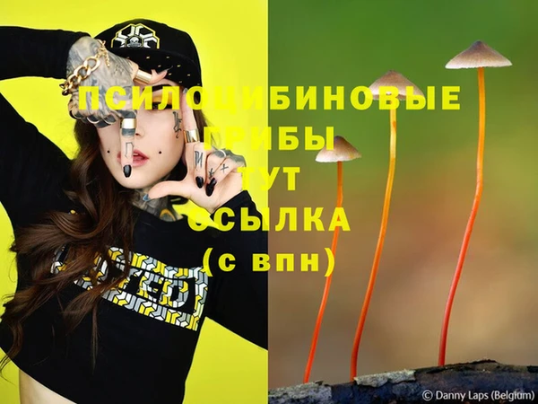 спиды Бородино