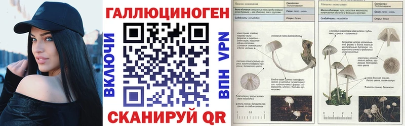 Купить где  Лесной  Галлюциногенные грибы ЛСД 